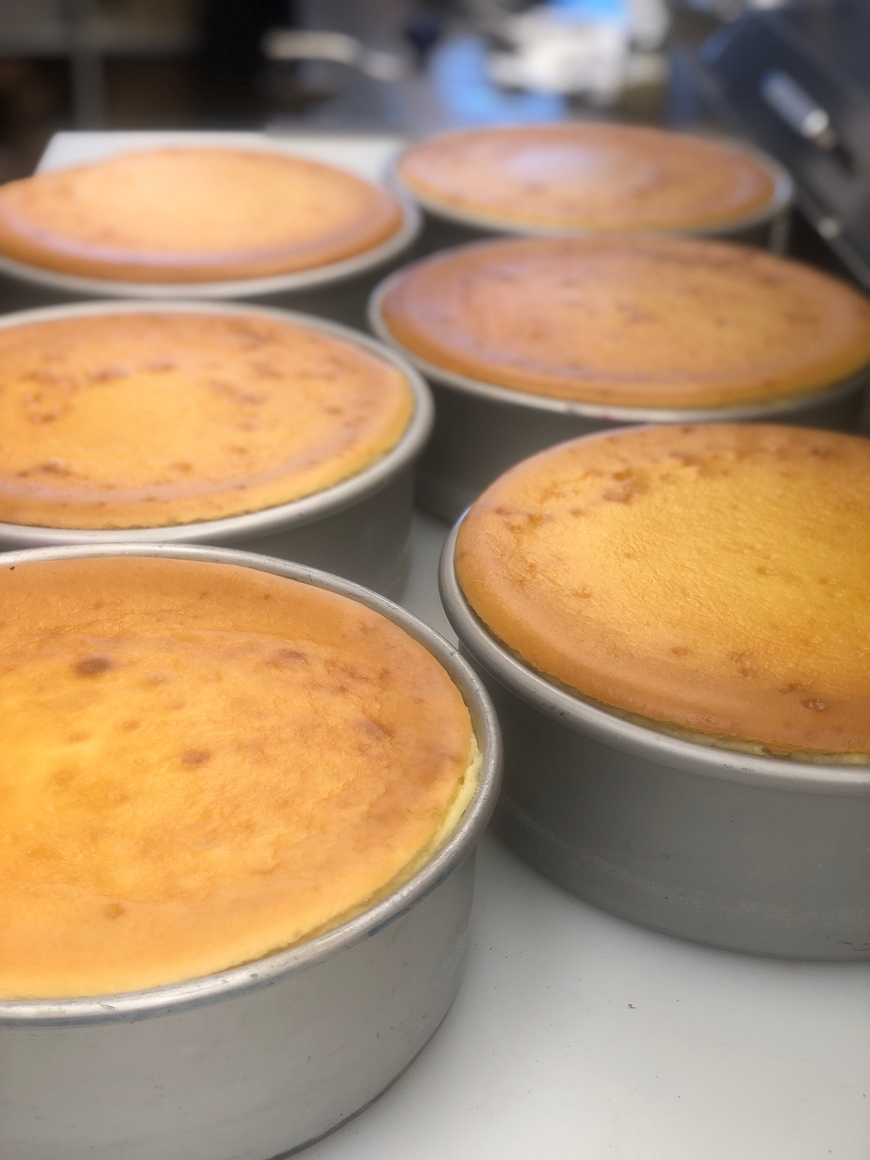 Brooklyn City NY Style Cheesecake
